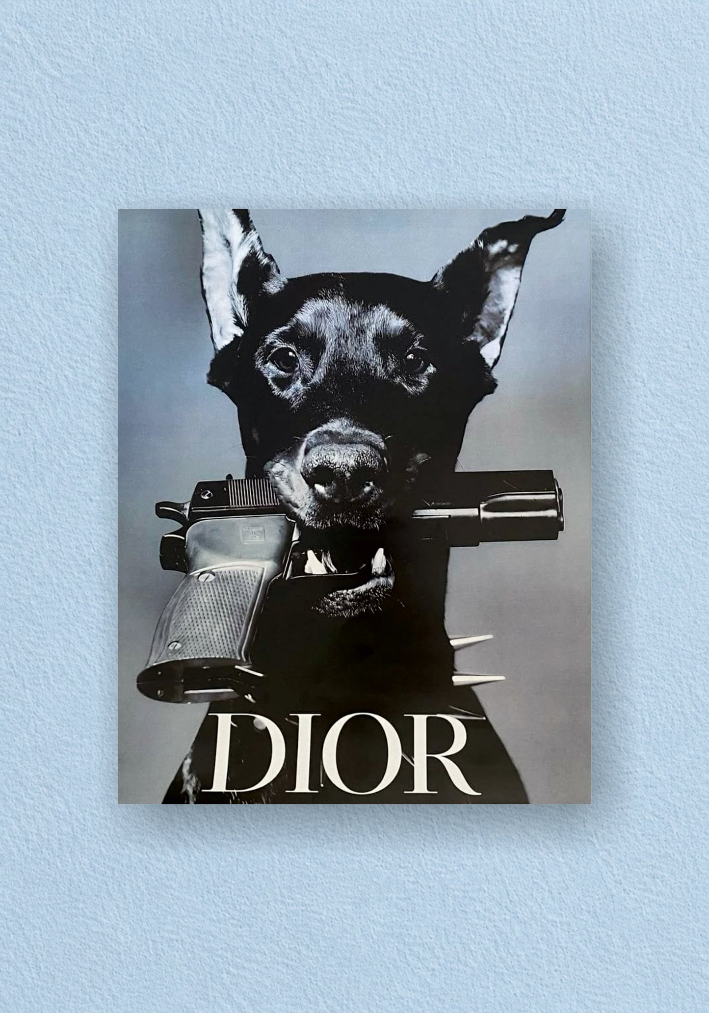 Dior Doberman Poster