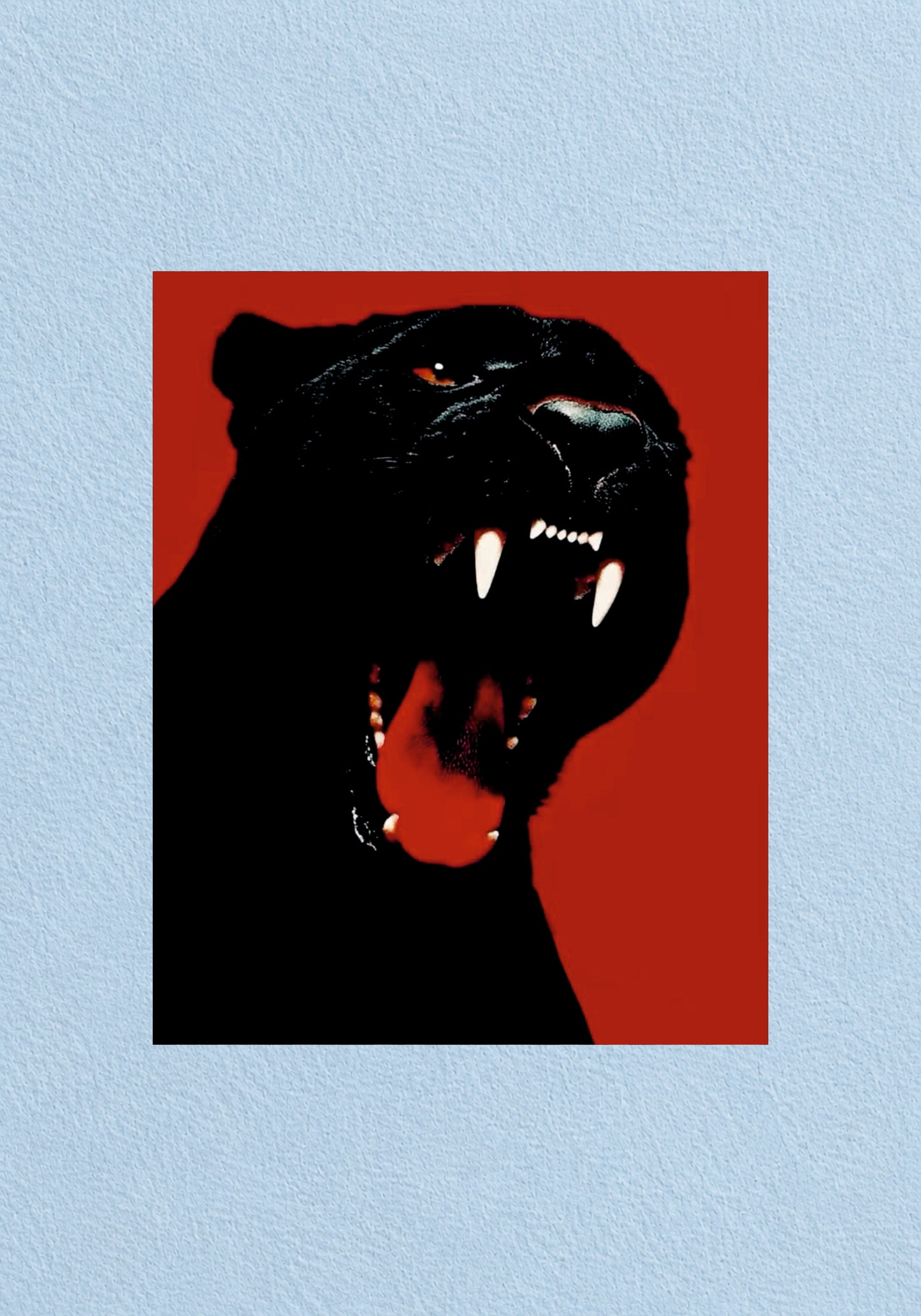 Roaring Panther Red Poster | Aesthetic Wall Poster