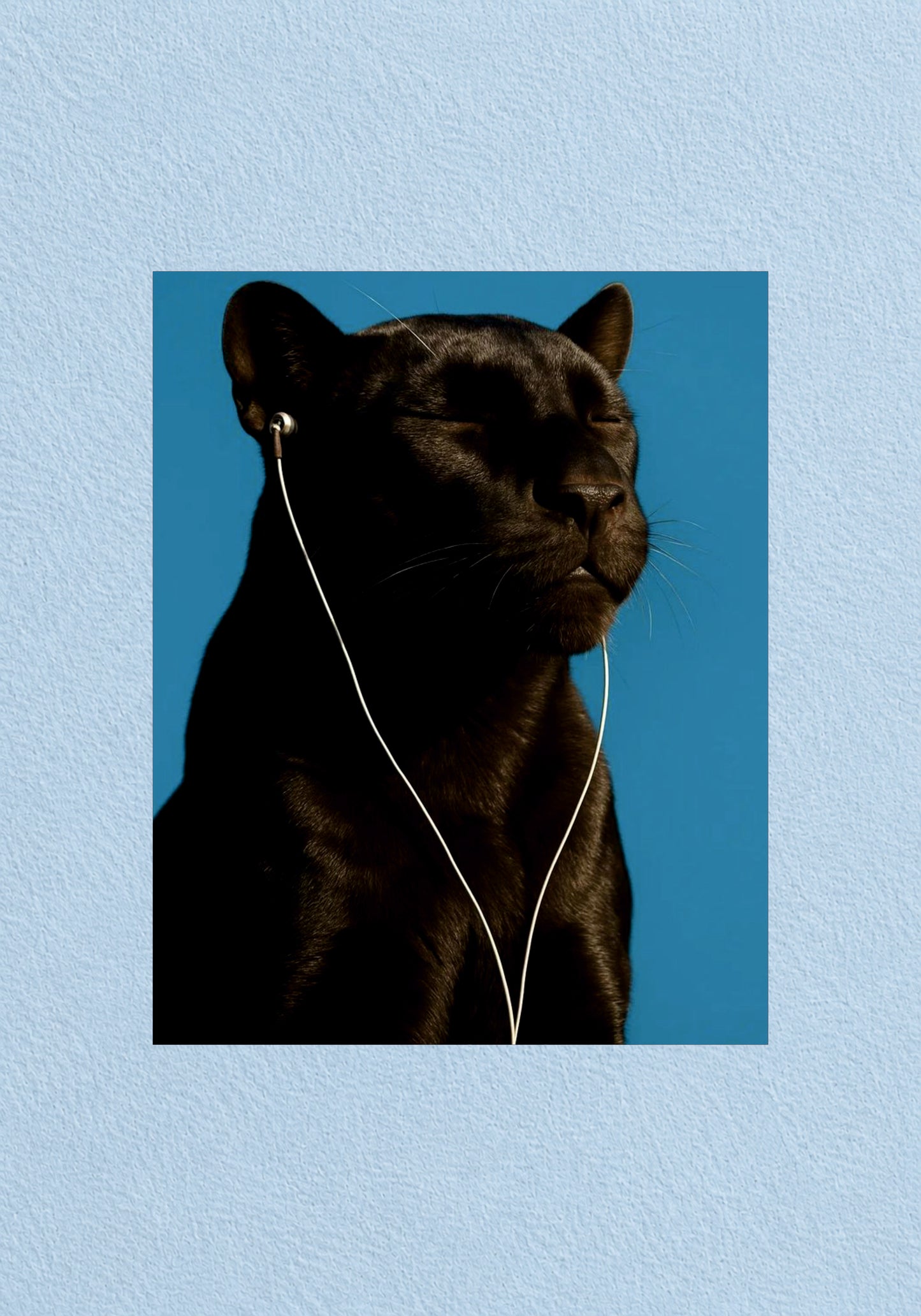 Panther Earphones Blue Poster | Aesthetic Wall Poster