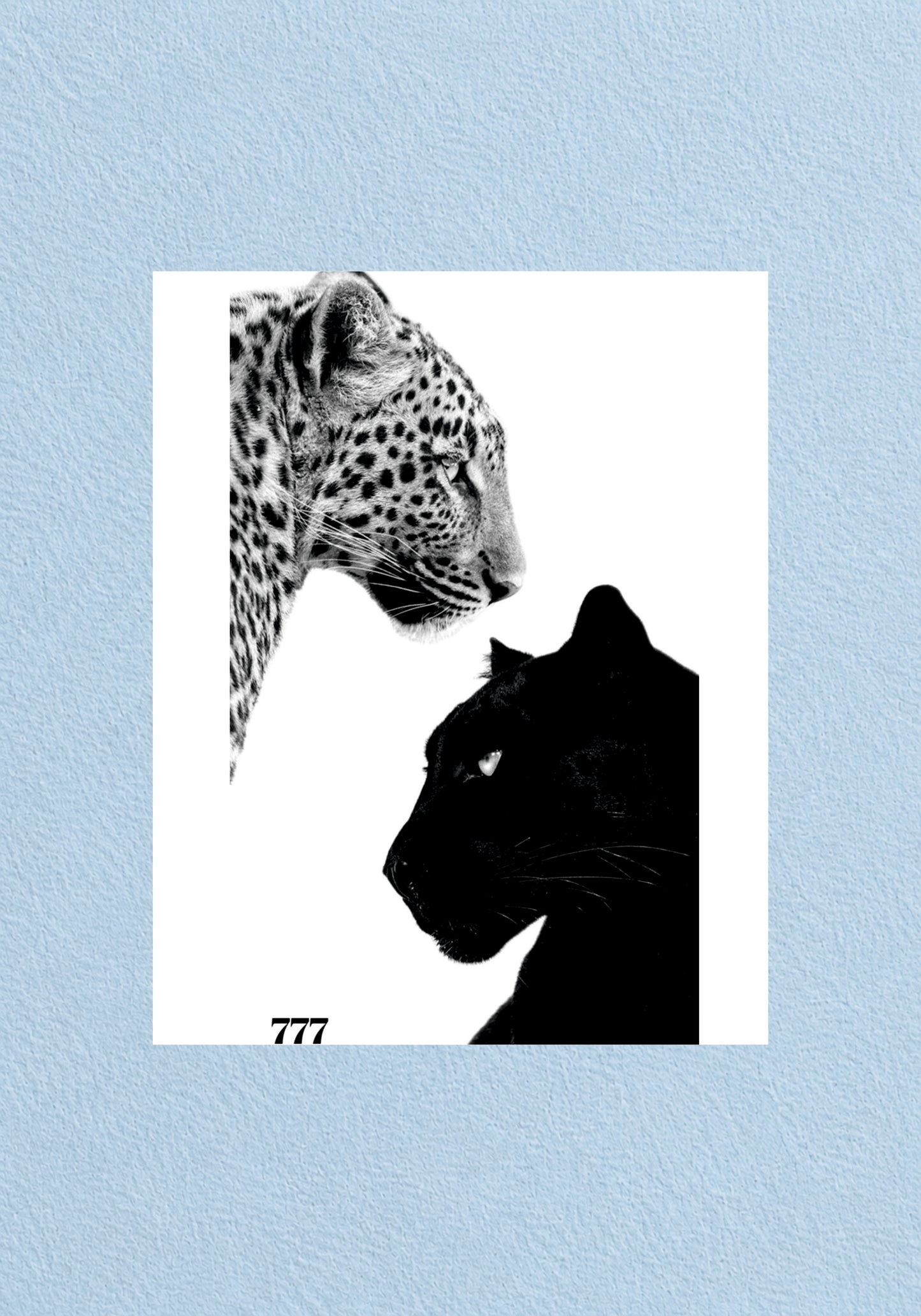 Leopard and Panther 777 Poster | Aesthetic Wall Poster