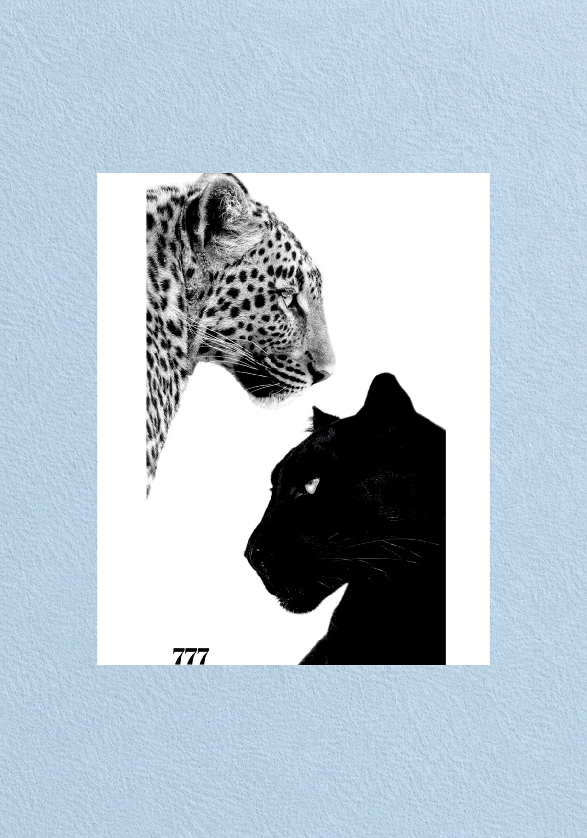 Leopard and Panther 777 Poster | Aesthetic Wall Poster