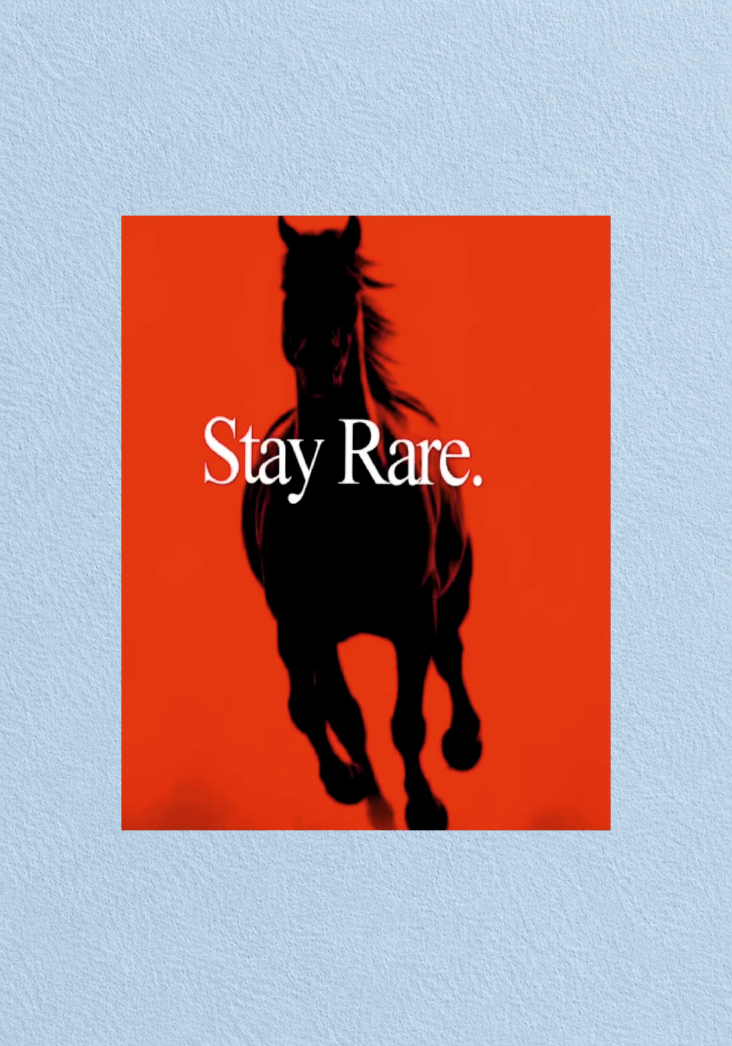 Stay Rare Horse Poster | Aesthetic Wall Poster