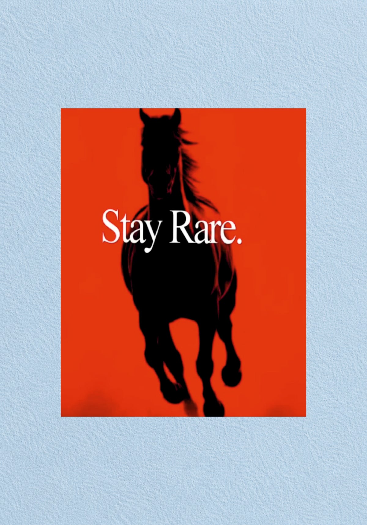 Stay Rare Horse Poster | Aesthetic Wall Poster