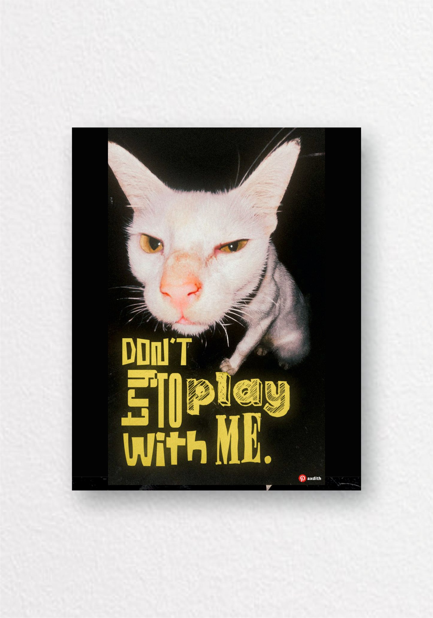 Don't Stop Play With Me Cat Poster | Funny Typography Wall Art