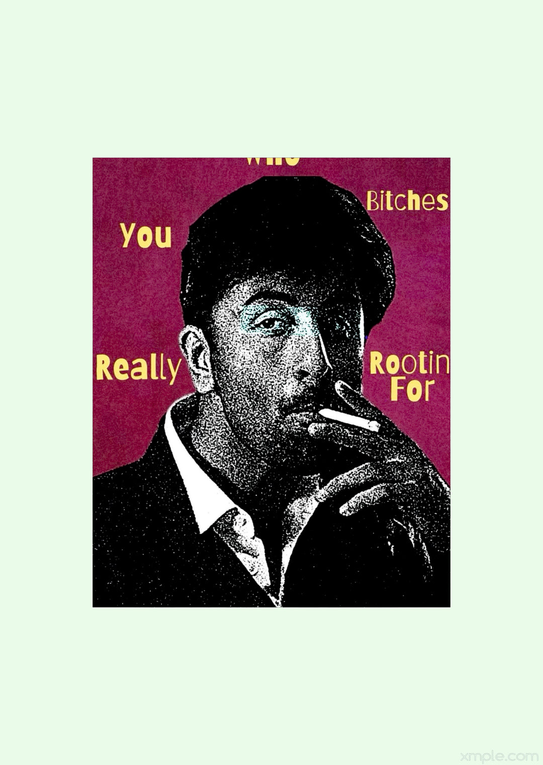 Animal Ranvijay Singh Gritty Pop-Art Movie Poster.